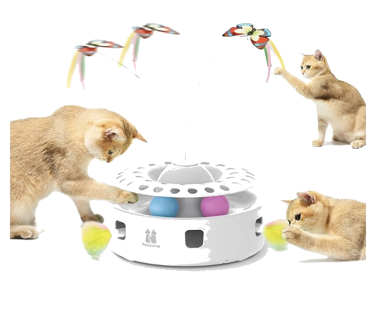 Interactive cat toy