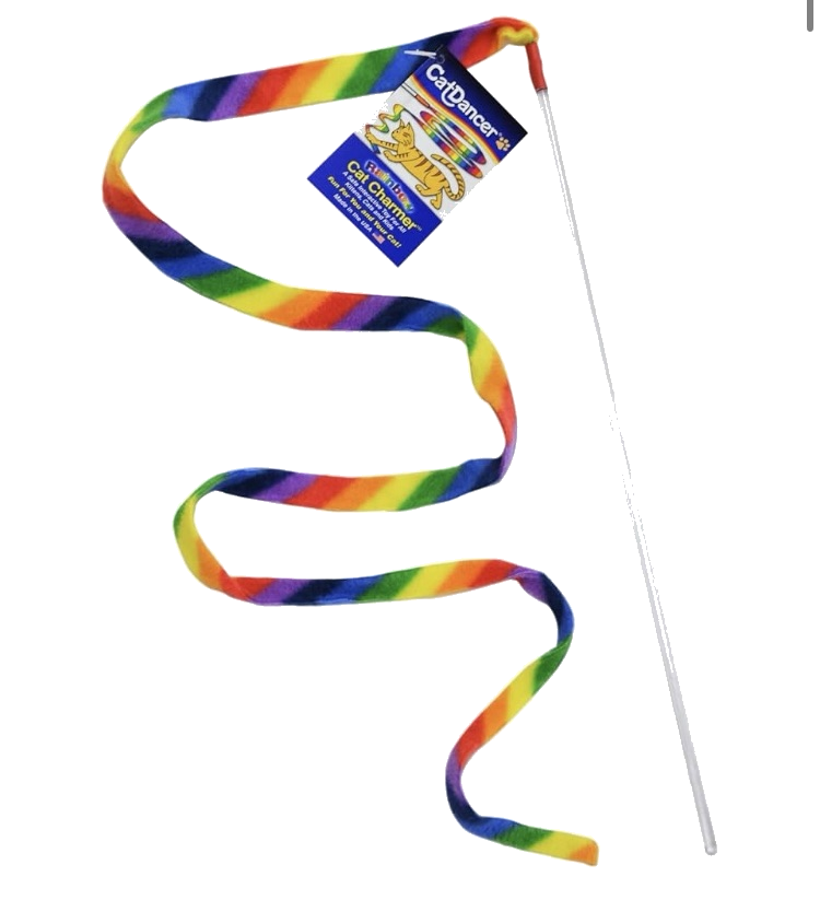 Rainbow ribbon cat toy